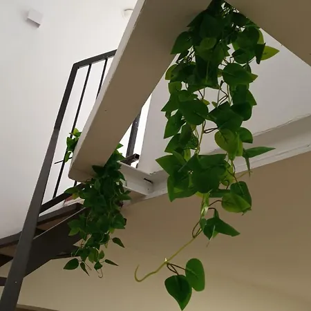 Apartment Casa N 1 Con Parcheggio Privato E Colonnina Ricarica Livorno